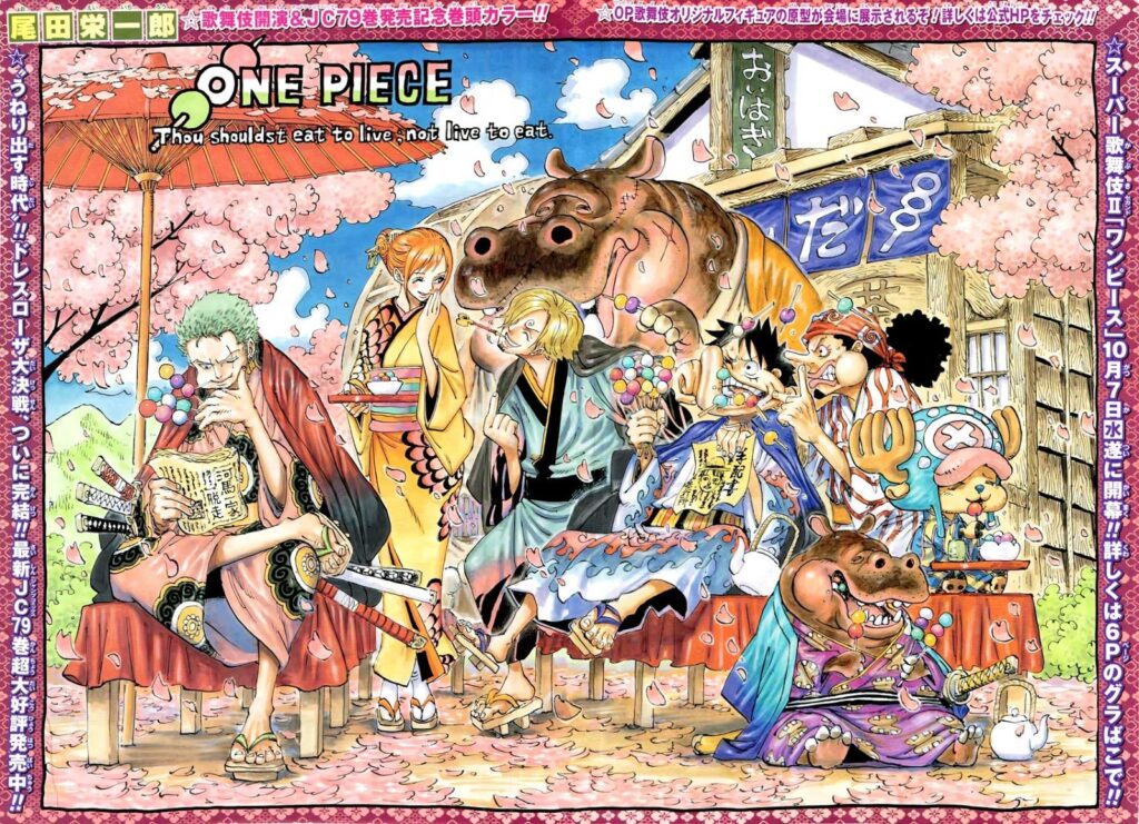 One Piece 802